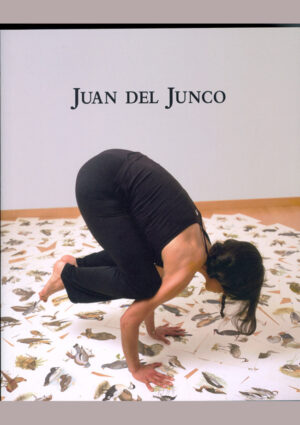 Catálogo de Juan del Junco