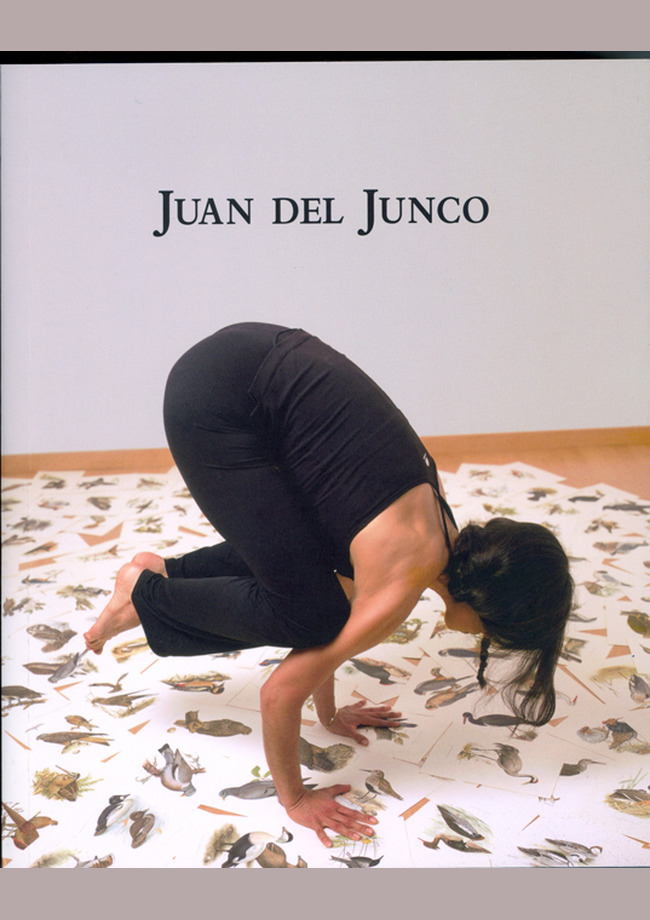 Catálogo de Juan del Junco