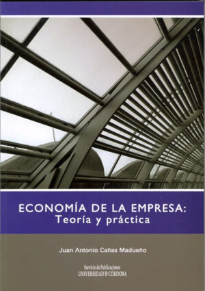 Economía de la empresa: teoría y práctica