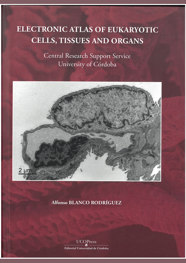 Electronic atlas of eucaryotic cells, tisuues and organs