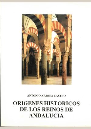 Orígenes históricos de los reinos de Andalucía
