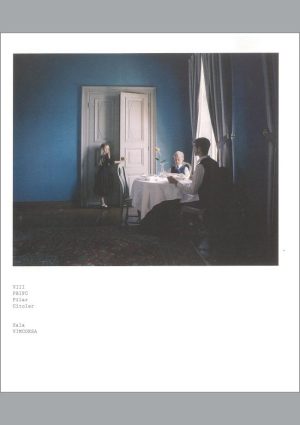VIII Premio Bienal Internacional de Fotografía Contemporánea Pilar Citoler 2016