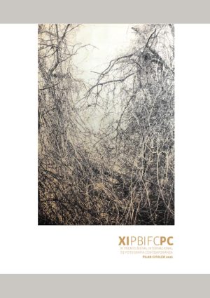 XI Premio Bienal Internacional de Fotografía Contemporánea Pilar Citoler 2021