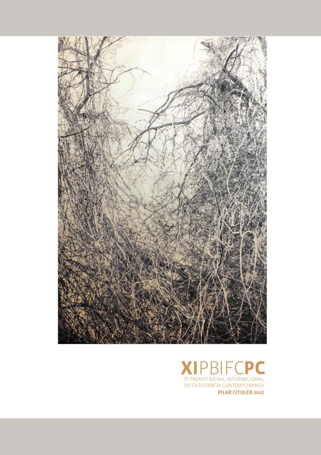 XI Premio Bienal Internacional de Fotografía Contemporánea Pilar Citoler 2021